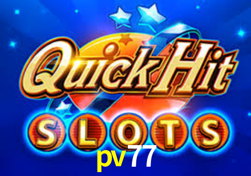 Interface Premium pv77